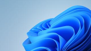 The Windows 11 background with abstract ribbons of blue